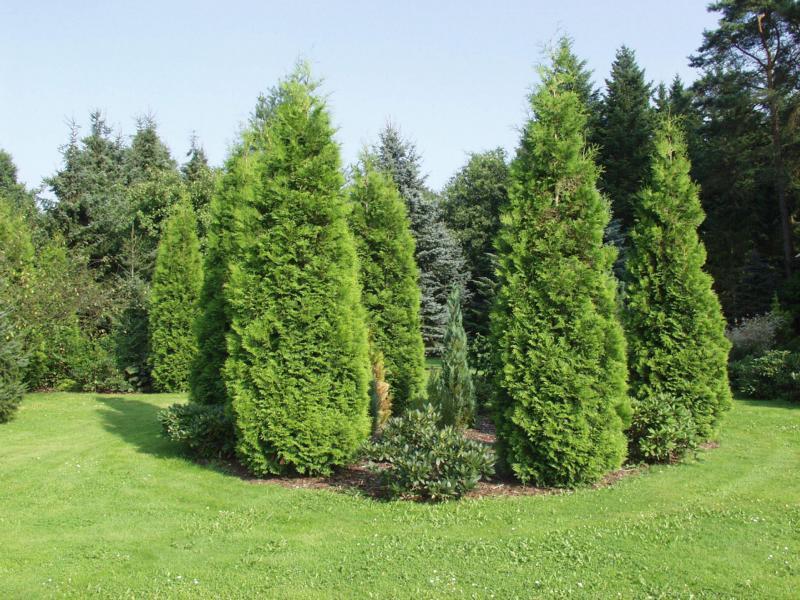 Ferienpark Leitzingen Зольтау Екстер'єр фото