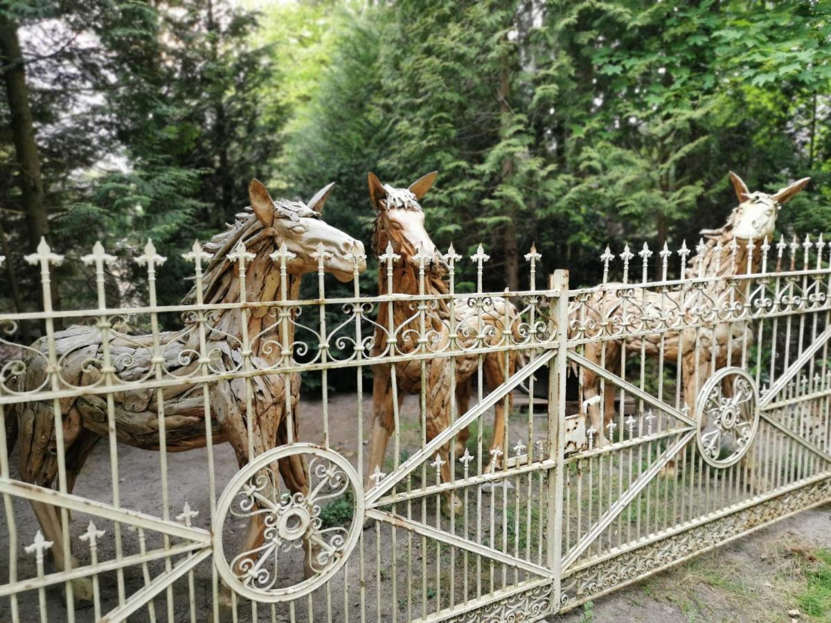Ferienpark Leitzingen Зольтау Екстер'єр фото